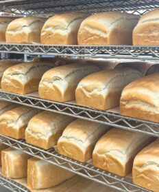 Jeanie Hard Dough Bread