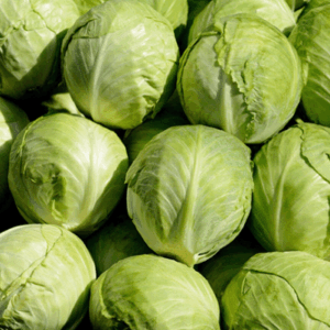 Green Cabage